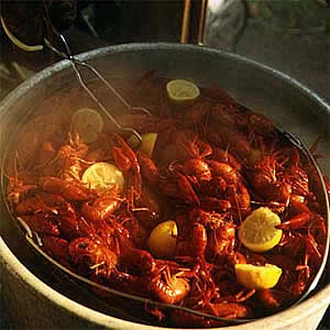 Crawfish+boil+recipe